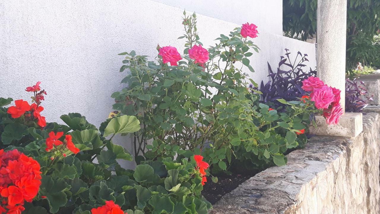 Apartment Ela Dubrovnik Eksteriør bilde